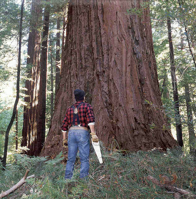 Friends Don't Let Friends Use Excel